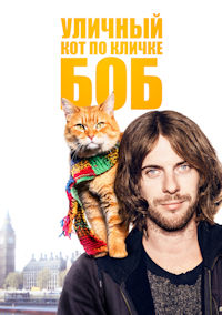 Уличный кот по кличке Боб