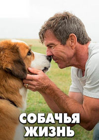 Собачья жизнь